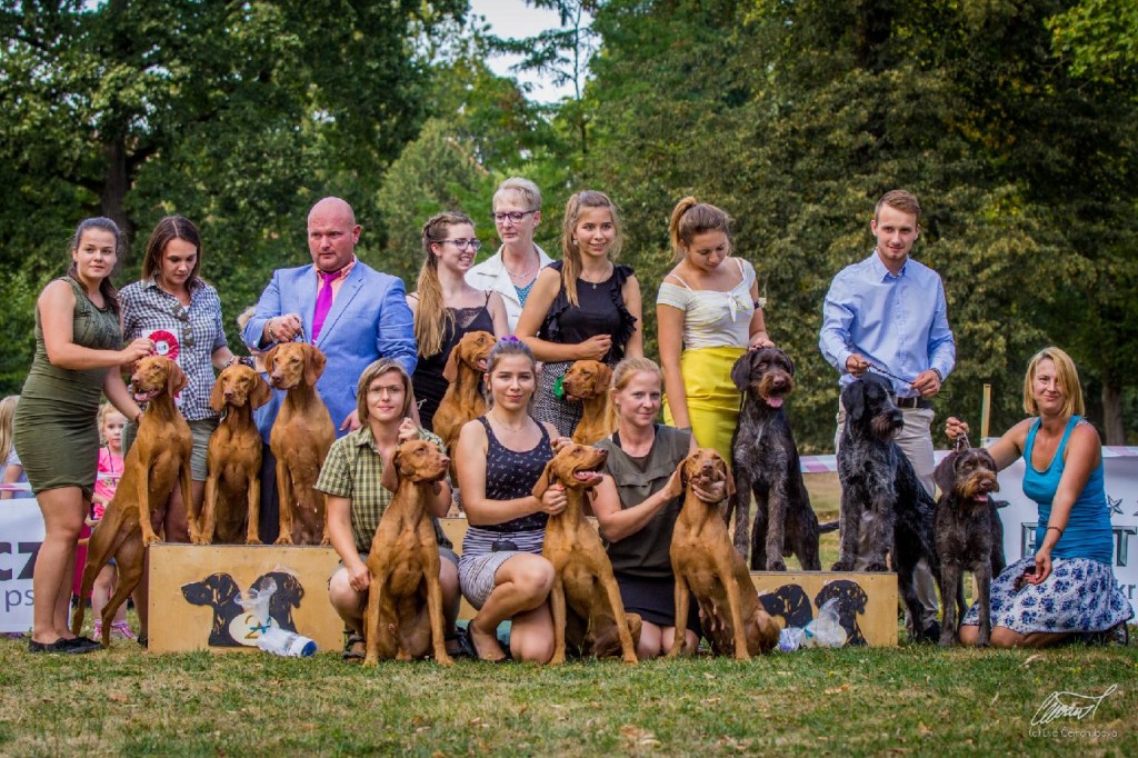 CHS Zák2018